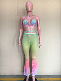 Summer Gradient Print Bra+Skinny Pants Swimsuit 2 Pieces ORY-5185