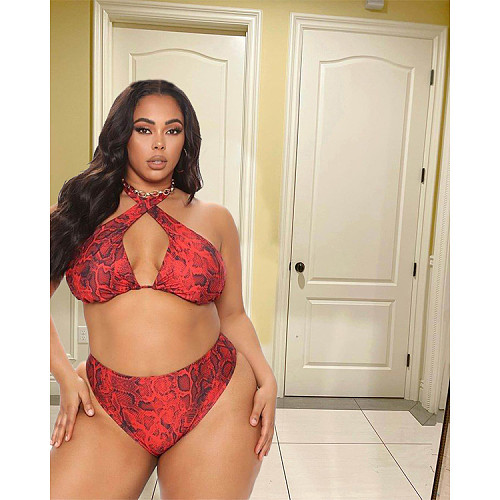 Sexy Snake Print Bikini Push Up Swimwear Two Pieces MDF-5226