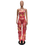 Sexy Print Mesh See-through Splicing Sleeveless Jumpsuit BN-9270