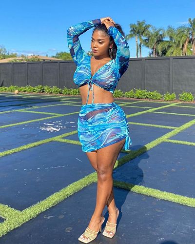 Sexy Mesh Printed Long Sleeve Crop Top Mini Skirt 2 Piece Set MEM-8348