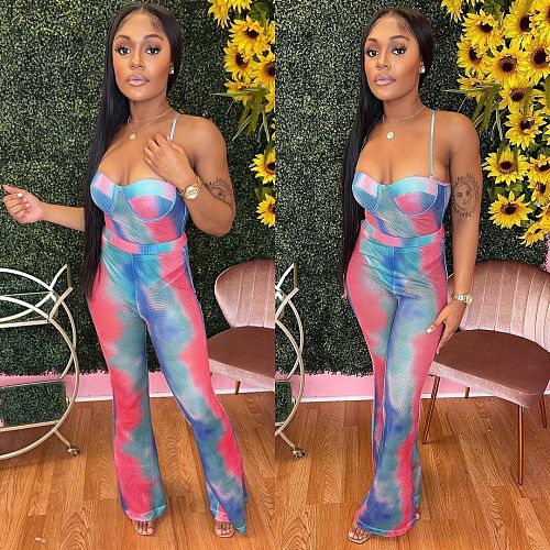 Sexy Mesh Perspective Print Bodysuit Long Pants 2 Piece Set ORY-5187