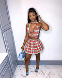 Elegant Plaid Print Crop Top Pleated Skirt Club Wear Two-Piece Set NIYA-8053
