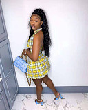 Elegant Plaid Print Crop Top Pleated Skirt Club Wear Two-Piece Set NIYA-8053