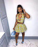Elegant Plaid Print Crop Top Pleated Skirt Club Wear Two-Piece Set NIYA-8053