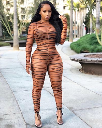 Sexy See-through Mesh Zebra Striped Long Sleeve Jumpsuit DM-8094