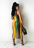 Sexy Mesh Print Color Striped Sleeveless Bodycon Midi Dress DY-6994