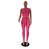 Sexy Mesh See-through Spliced Sleeveless Top Leggings 2 Pieces CN-0107