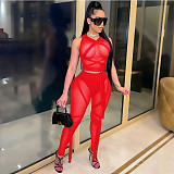 Sexy Mesh See-through Spliced Sleeveless Top Leggings 2 Pieces CN-0107