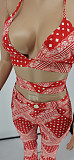 Summer Print Bandage Halter Bra Tops Pants 2 Piece Sets WSY-5820