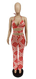 Summer Print Bandage Halter Bra Tops Pants 2 Piece Sets WSY-5820