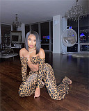 Leopard Off Shoulder Long Sleeve Crop Top Flare Pants 2 Piece Set FOS-8053