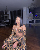 Leopard Off Shoulder Long Sleeve Crop Top Flare Pants 2 Piece Set FOS-8053