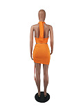 Mini Skirts Criss Cross Halter Crop Top 2 Piece Set FOS-8049