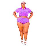 Plus Size Swimsuit Printed Crop Top Beach 2 Piece Bikini Set OSS-21106