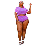 Plus Size Swimsuit Printed Crop Top Beach 2 Piece Bikini Set OSS-21106