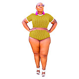 Plus Size Swimsuit Printed Crop Top Beach 2 Piece Bikini Set OSS-21106