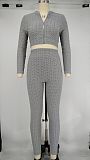 Women Tracksuit Solid Color Long Sleeve Zipper Crop Tops+Pencil Pants Summer Sport Two Piece Set XMY-9311