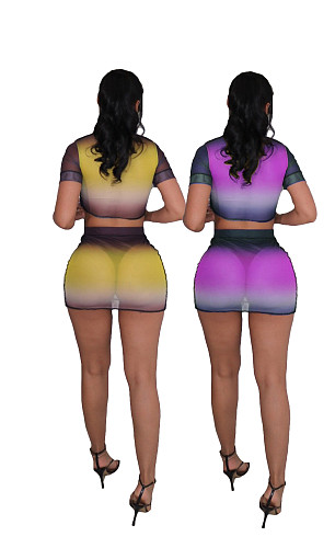 Sexy Mesh See Through Print Short Sleeve O Neck Crop Top Mini Skirt Women Nightclub Two Piece Set SD-25121