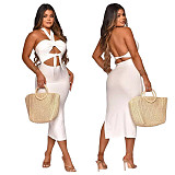 Women Sexy Solid Color Sleeveless Hollow Out Backless Halter Bandage Summer Maxi Long Dress ASL-6386
