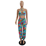 Summer Womens Clothing Halter Neck Printed Crop Top Loose Long Pants Party Club Two-Piece Suits DY-6667