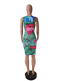 Sexy Summer Print Sleeveless O Neck Basic Bodycon Midi Club Party Dresses ZAND-31133