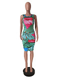 Sexy Summer Print Sleeveless O Neck Basic Bodycon Midi Club Party Dresses ZAND-31133