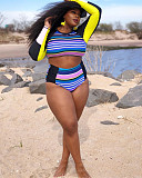 Printed Long Sleeve Crop Tops High Waist Beachwear Push-Up Two Piece Bikini Set LP-66302