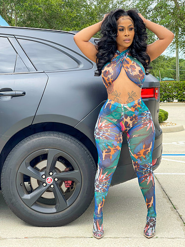 Women's Sexy Streetwear Print Halter Crop Tops Pencil Pants Bodycon Club Two Piece Set LSD-81008