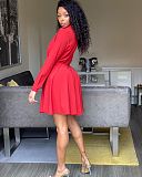 2021 New Solid Color Ladies Office Clothes Elegant Lapel Long Sleeve Button Pleated Shirt Midi Dress AIL-177