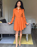 2021 New Solid Color Ladies Office Clothes Elegant Lapel Long Sleeve Button Pleated Shirt Midi Dress AIL-177