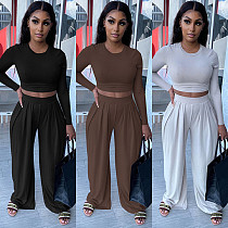 Autumn Casual Skinny Solid Long Sleeve O Neck Cropped Tee Tops Wide Leg Pants Ladies Two Piece Set GLS-10013