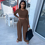 Autumn Casual Skinny Solid Long Sleeve O Neck Cropped Tee Tops Wide Leg Pants Ladies Two Piece Set GLS-10013