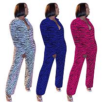 Fashion Zebra Printed Long Sleeve Button Up Shirt Slim Straight-Leg Pants Office Lady Two Piece Set MEM-88385