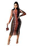 Tie Dye Print See Through Long Sleeve Pleated Dress ZAND-31159