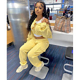 Solid Long Sleeve Hoodies Crop Top Sweatpants Set DY-6677
