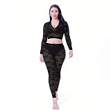 Lace V-neck Long Sleeve Crop Top Pants Set SHD-9493