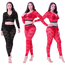 Lace V-neck Long Sleeve Crop Top Pants Set SHD-9493