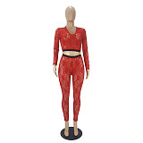 Lace V-neck Long Sleeve Crop Top Pants Set SHD-9493