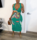 Abstract Print Sleeveless V Neck Skinny Dress HMS-5338