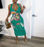 Abstract Print Sleeveless V Neck Skinny Dress HMS-5338