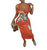 Abstract Print Sleeveless V Neck Skinny Dress HMS-5338