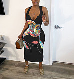 Abstract Print Sleeveless V Neck Skinny Dress HMS-5338