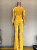 Velvet Long Sleeve Crop Top Flare Leg Pants Set