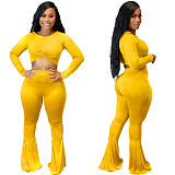 Velvet Long Sleeve Crop Top Flare Leg Pants Set