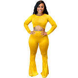 Velvet Long Sleeve Crop Top Flare Leg Pants Set