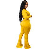 Velvet Long Sleeve Crop Top Flare Leg Pants Set