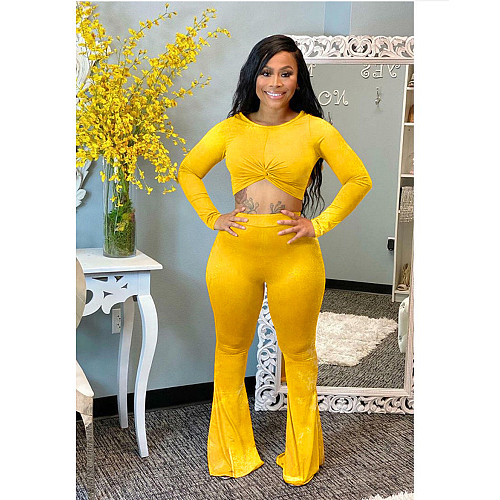 Velvet Long Sleeve Crop Top Flare Leg Pants Set