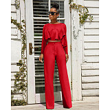 Solid Long Sleeve Ruffle Hem Shirts Straight Pants Set