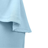 Solid Long Sleeve Ruffle Hem Shirts Straight Pants Set