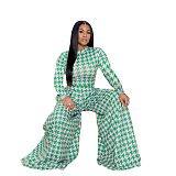 Print Long Sleeve Crop Top Wide Leg Pants Set